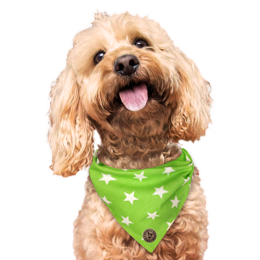 The Cheltenham - Large Star on Lime Tied Dog Bandana