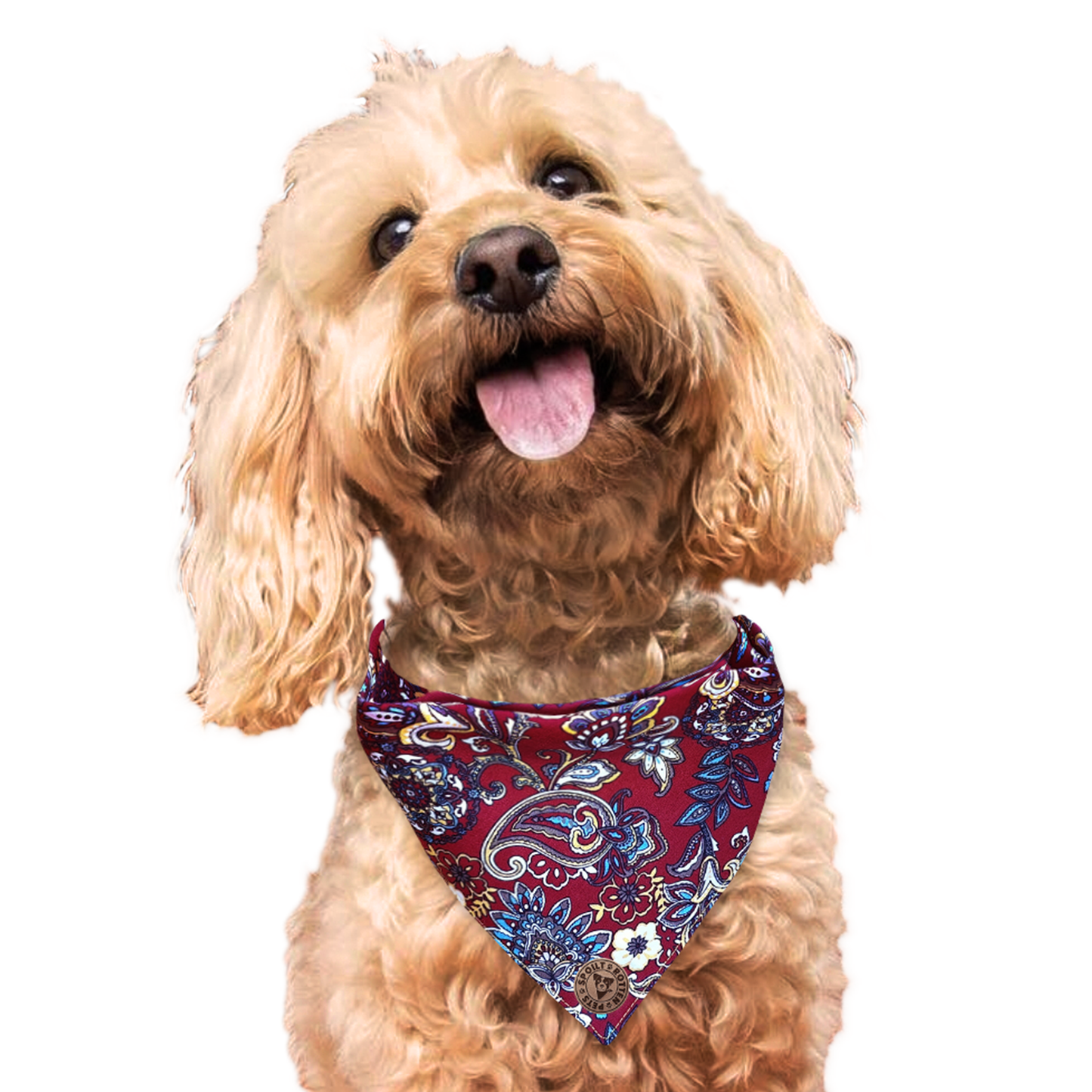 The Chester - Paisley Floral Burgundy Tied Dog Bandana