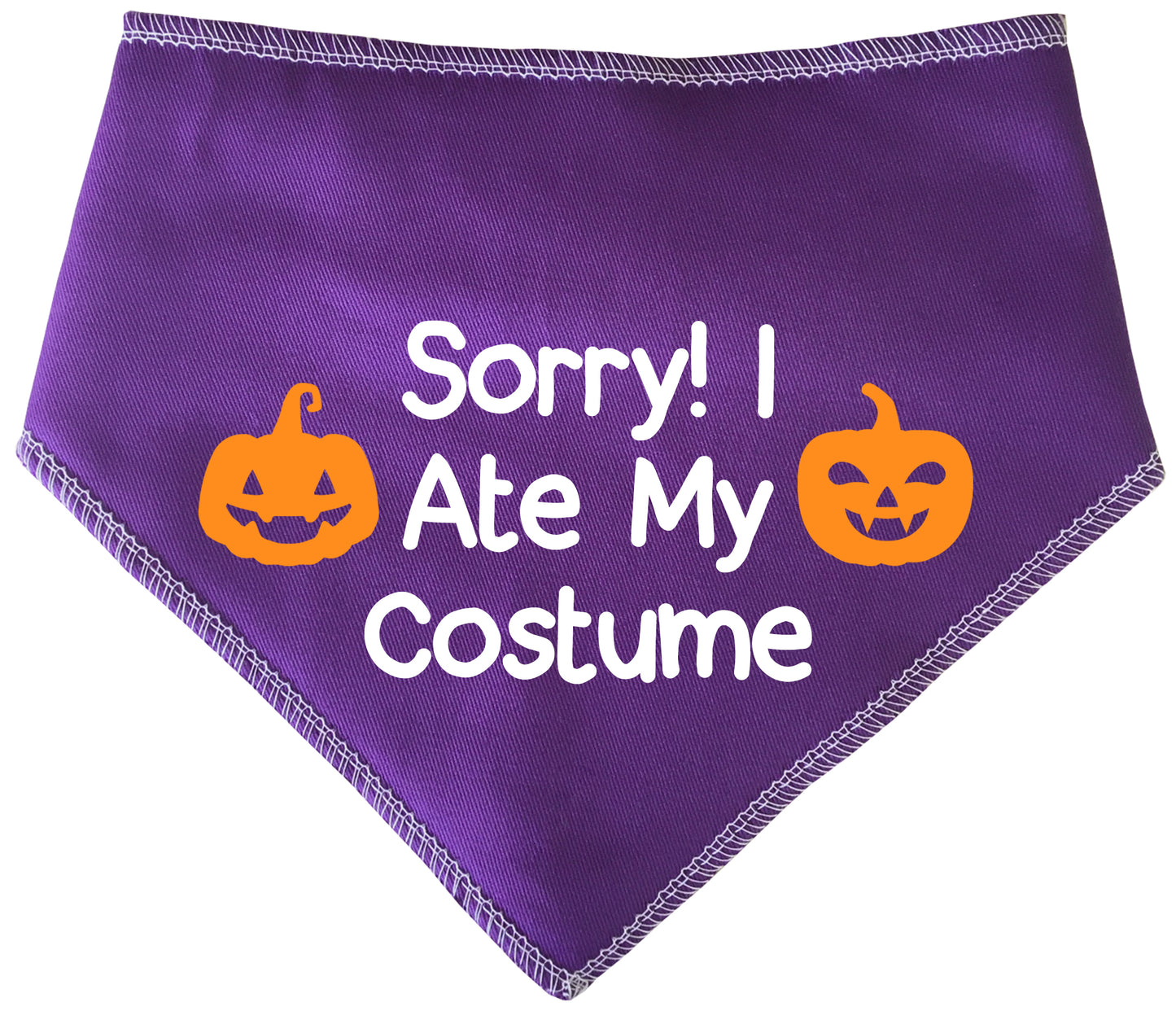 Sorry! I Ate My Costume Dog Bandana