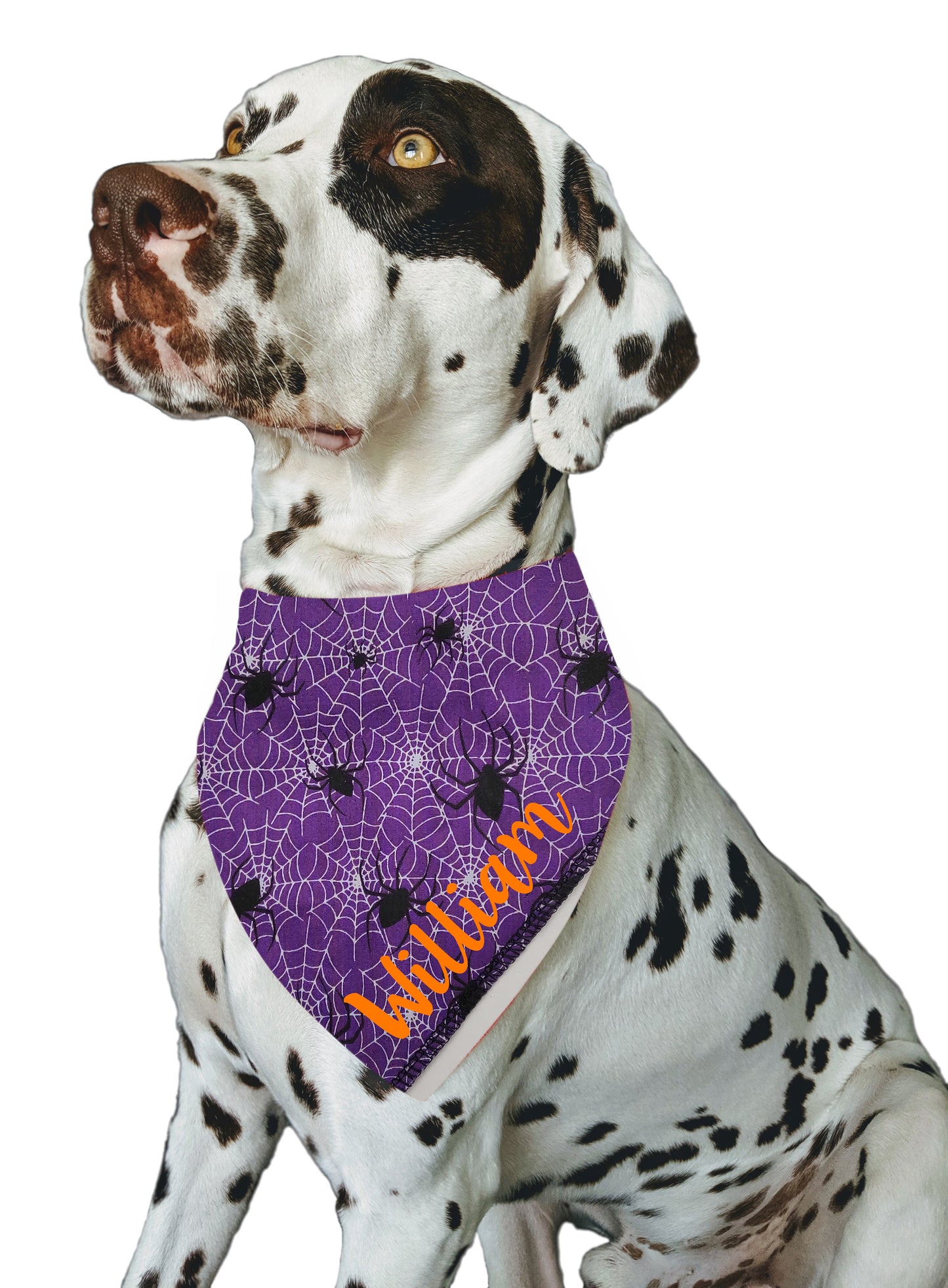 Purple Cobwebs Any Name Dog Bandana