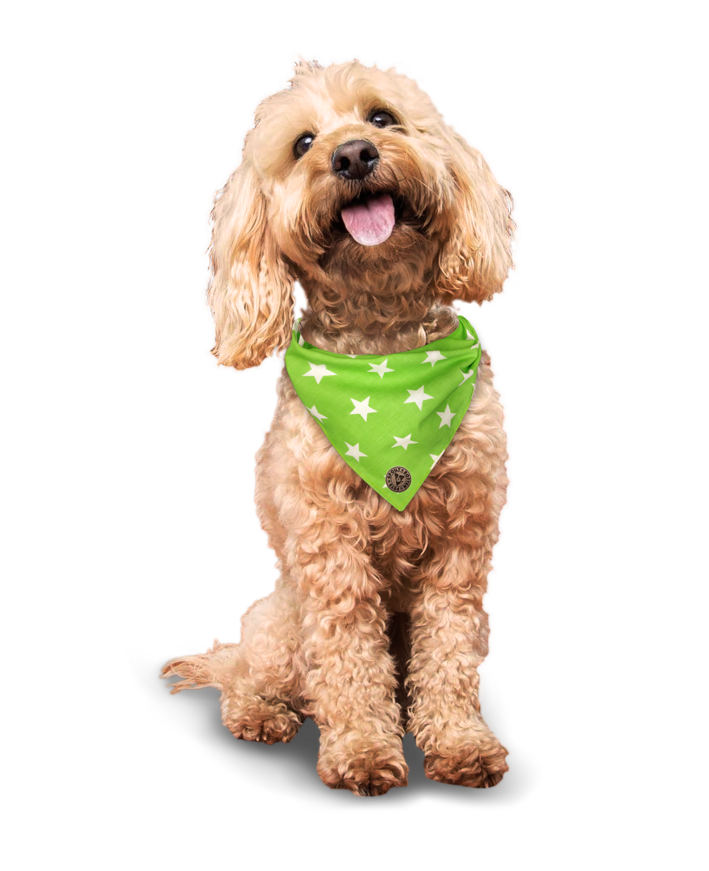 The Cheltenham - Large Star on Lime Tied Dog Bandana