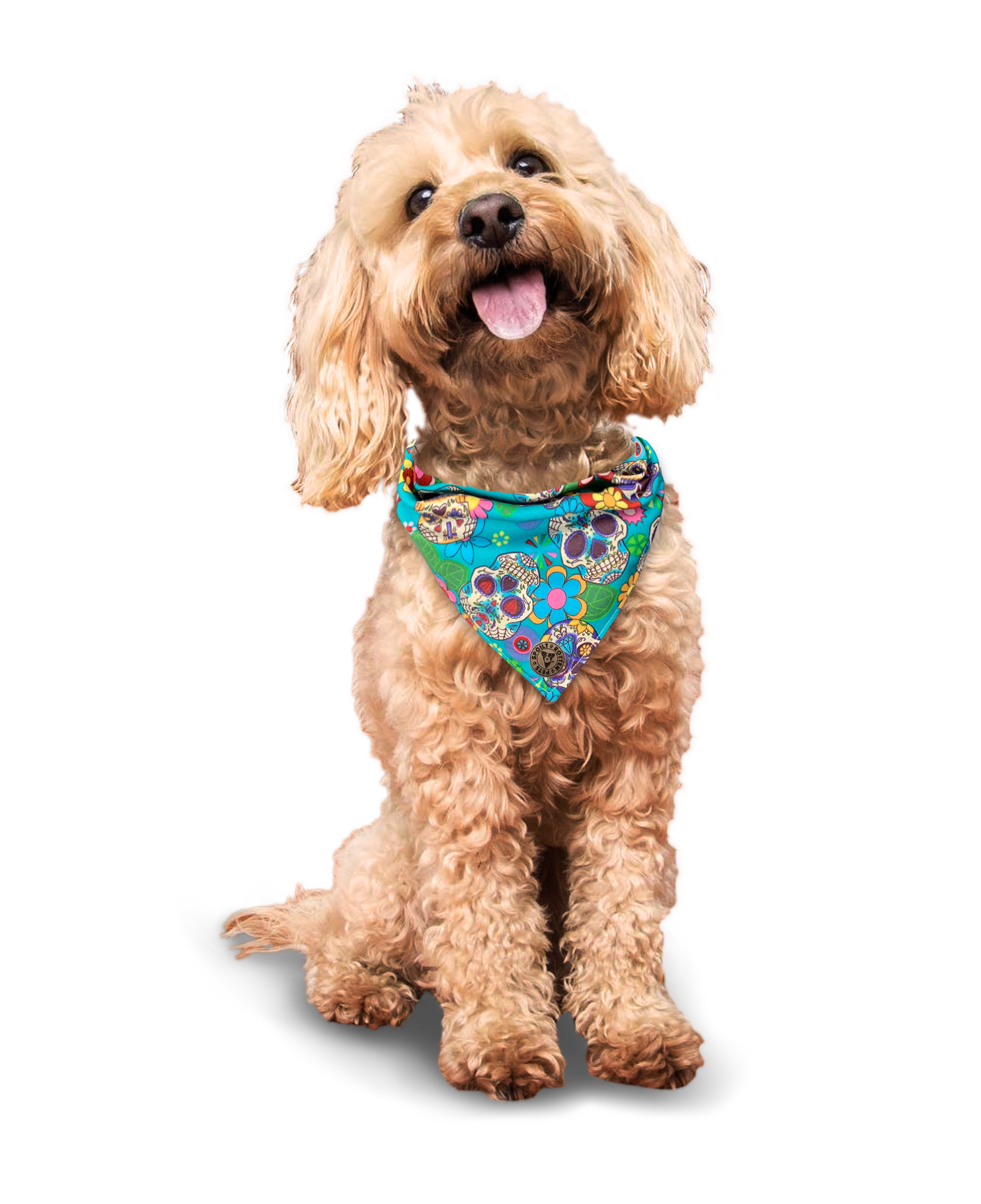 The York - Blue Sugar Skulls Dog Bandana