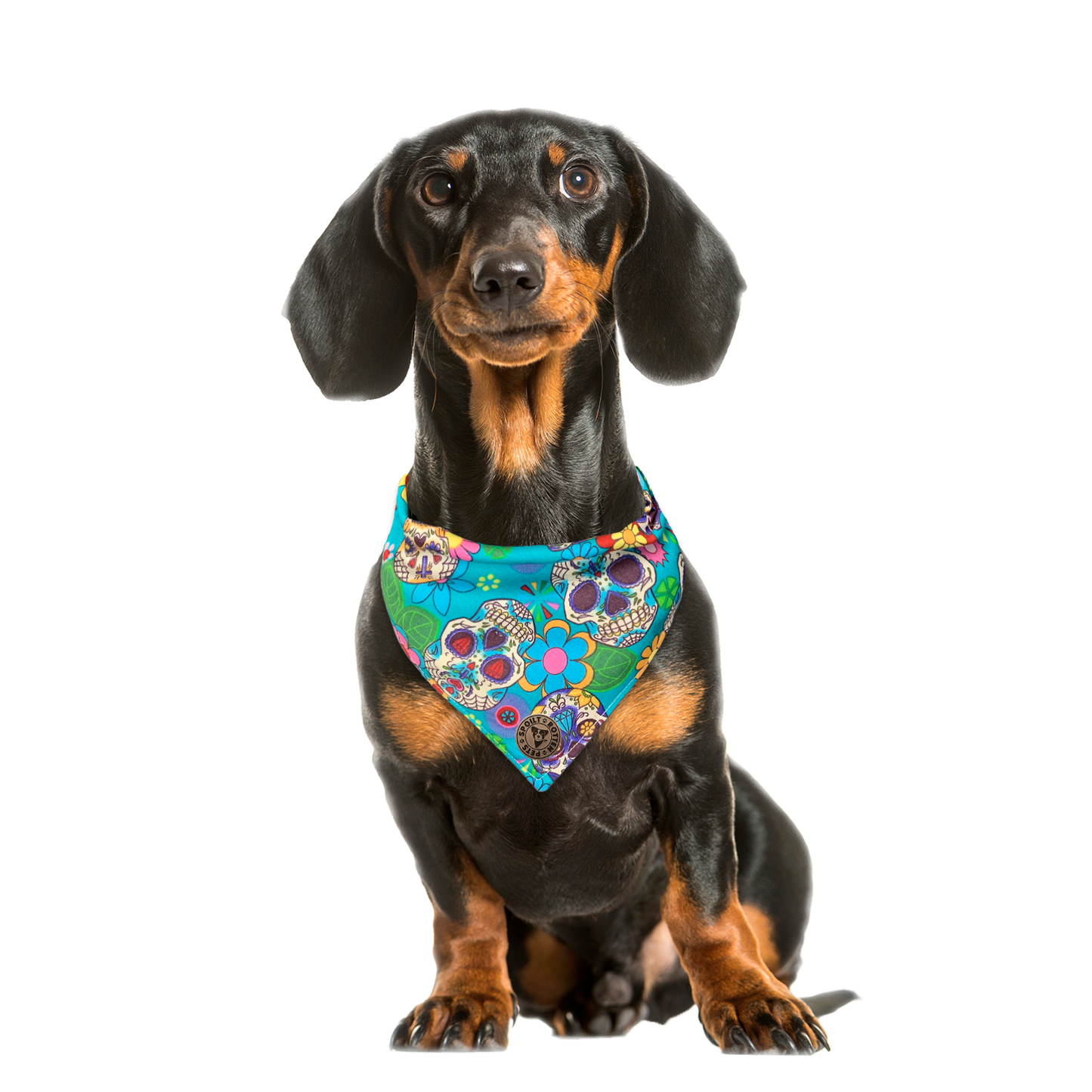 The York - Blue Sugar Skulls Dog Bandana