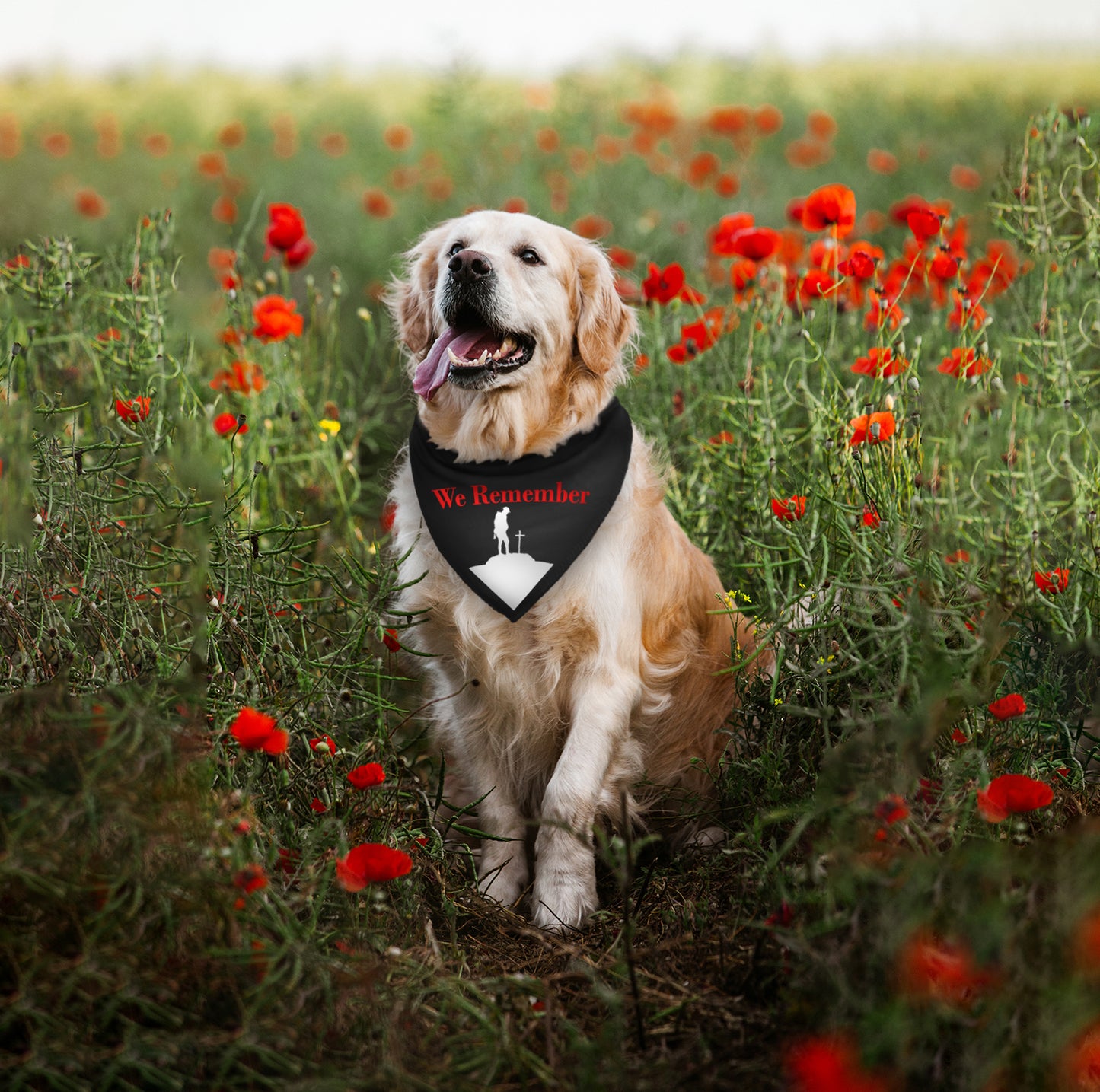 We Remember Soldier Silhouette Dog Bandana