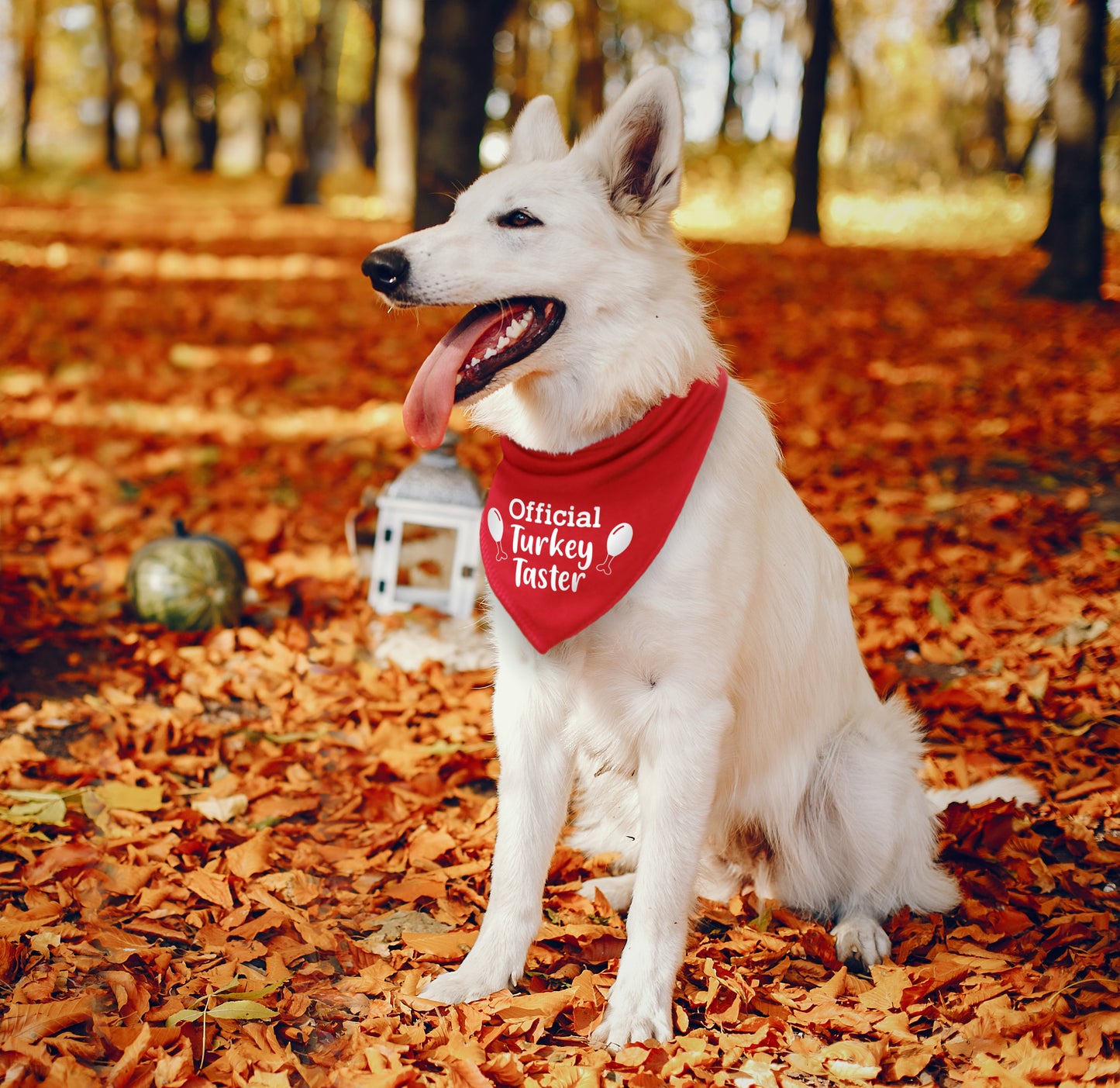 Official Turkey Taster Dog Bandana