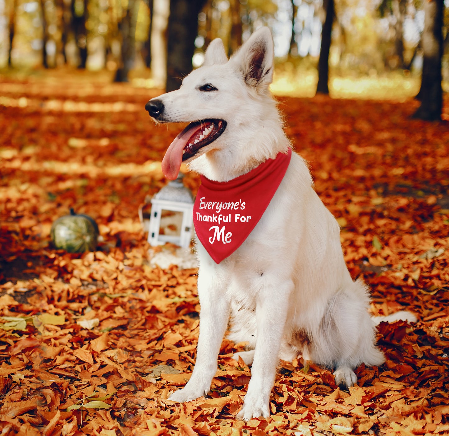 Everyone's Thankful For Me Dog Bandana