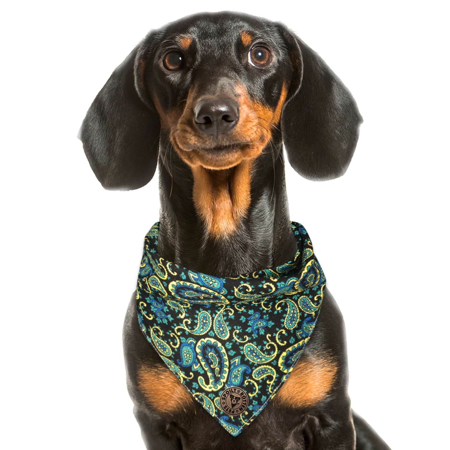 The Winchester - Paisley Blue Cord Tied Dog Bandana