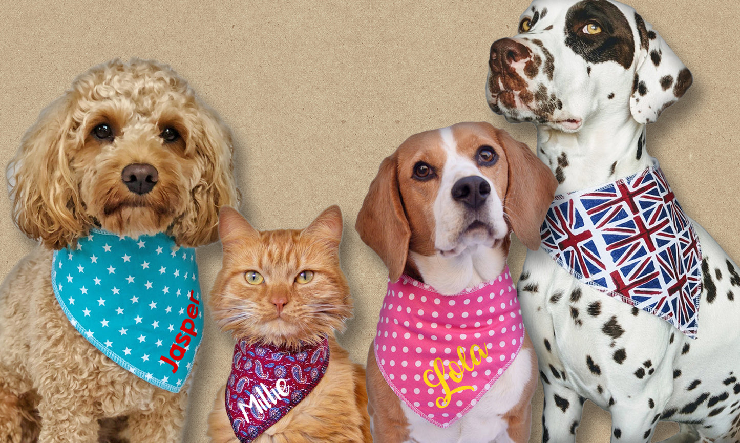 VW Camper Turquoise Pattern Fabric Dog Bandana