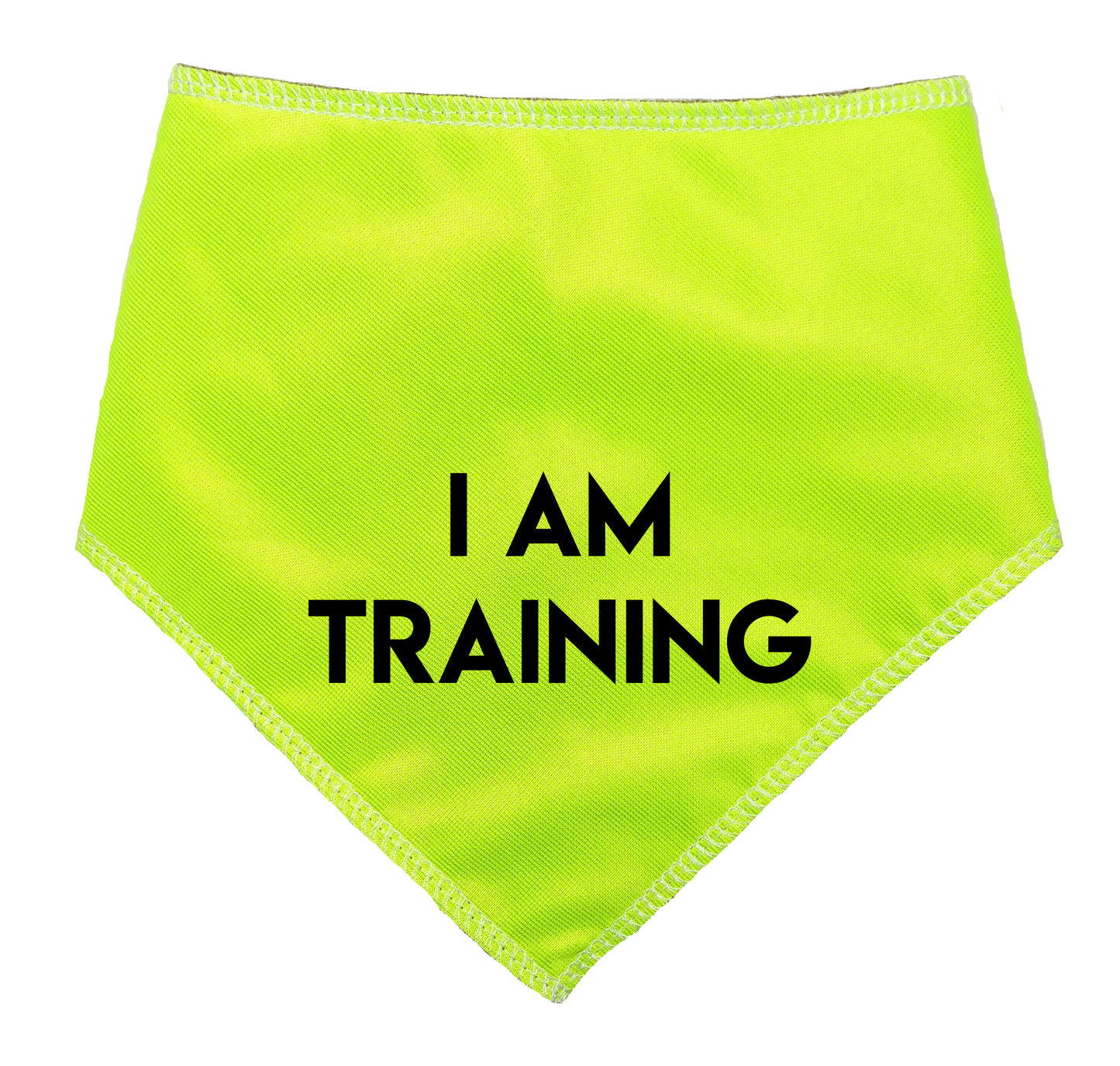 I AM TRAINING Hi Vis Dog Bandana