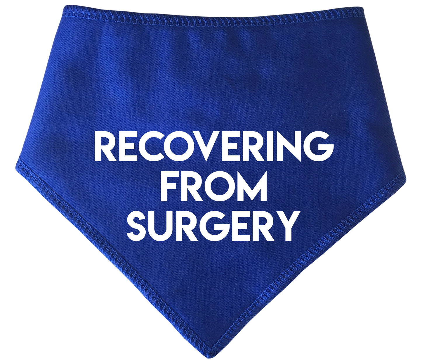 Recovering From Surgery Dog Bandana