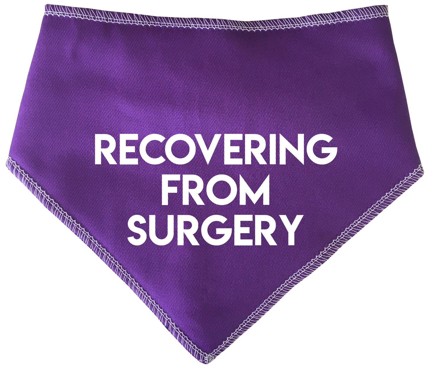 Recovering From Surgery Dog Bandana