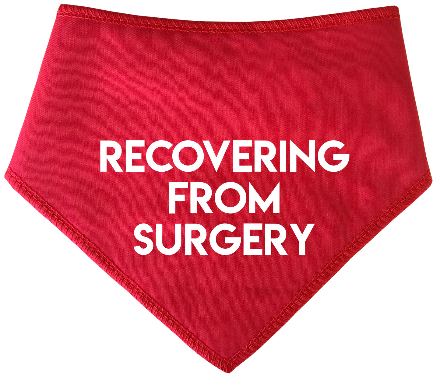 Recovering From Surgery Dog Bandana
