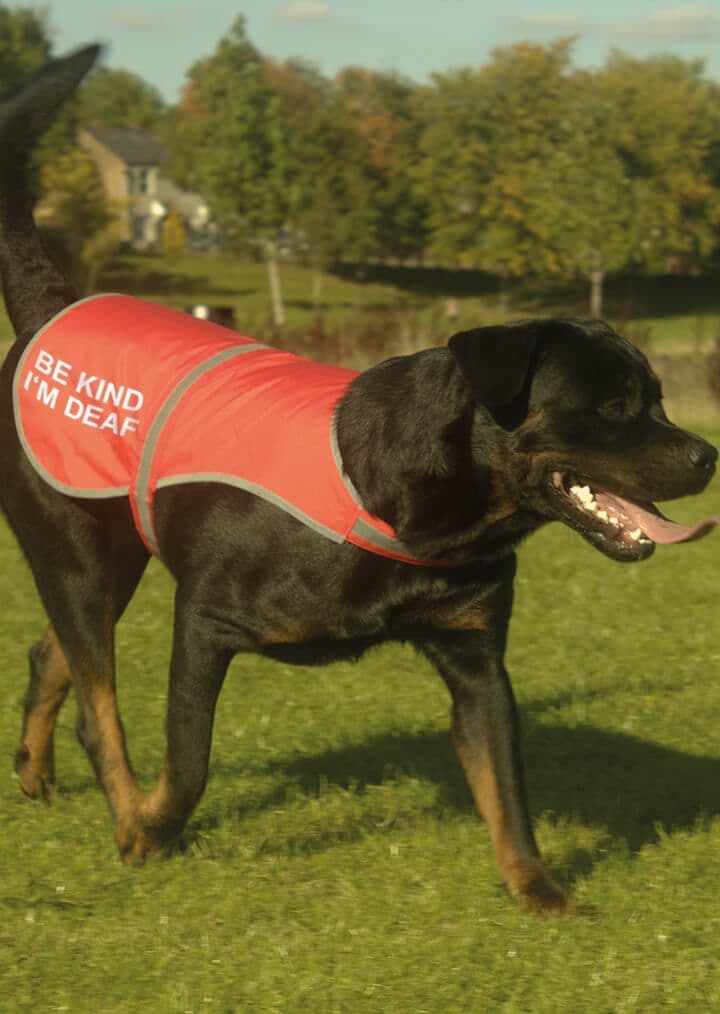 'Be Kind I'm Deaf' High Visibility Lightweight Coat