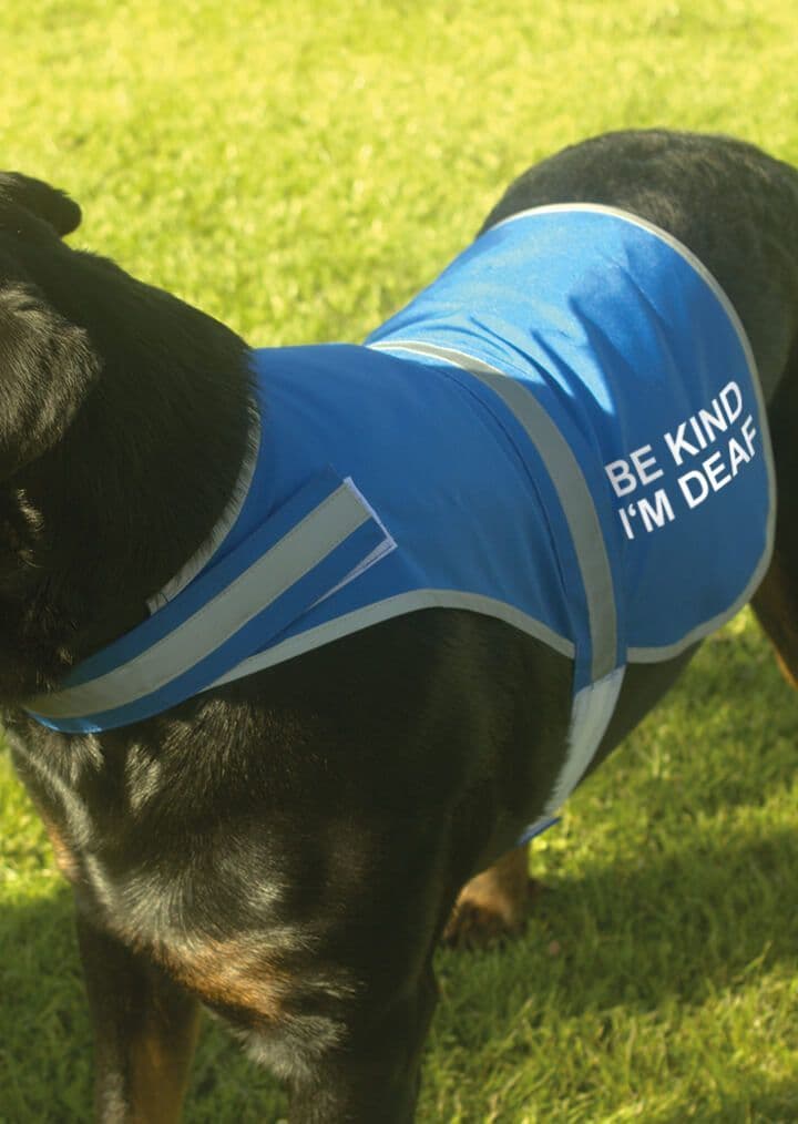 'Be Kind I'm Deaf' High Visibility Lightweight Coat