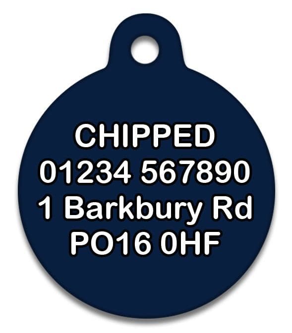 Blue Tartan - Cat ID Tag