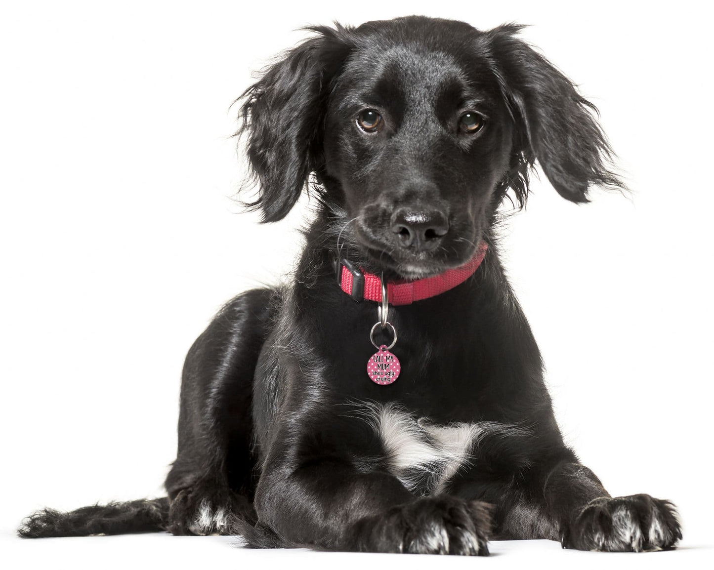Call My Mum She's Ugly Crying Pink - Pet (Dog & Cat) ID Tag
