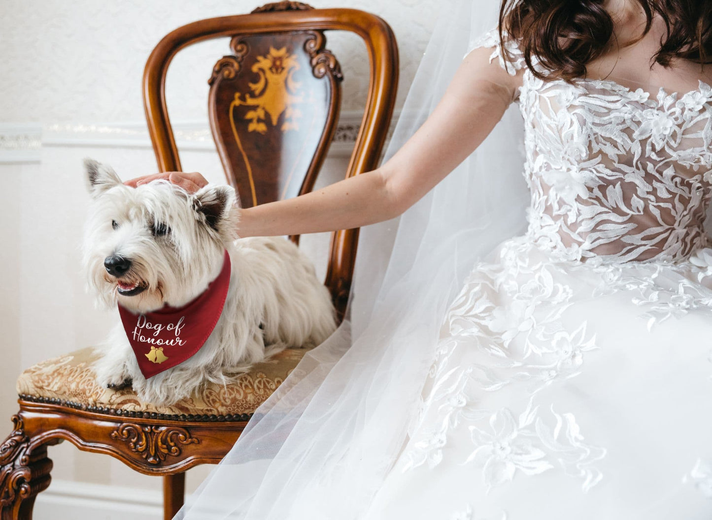 'Dog of Honour' Wedding Bandana