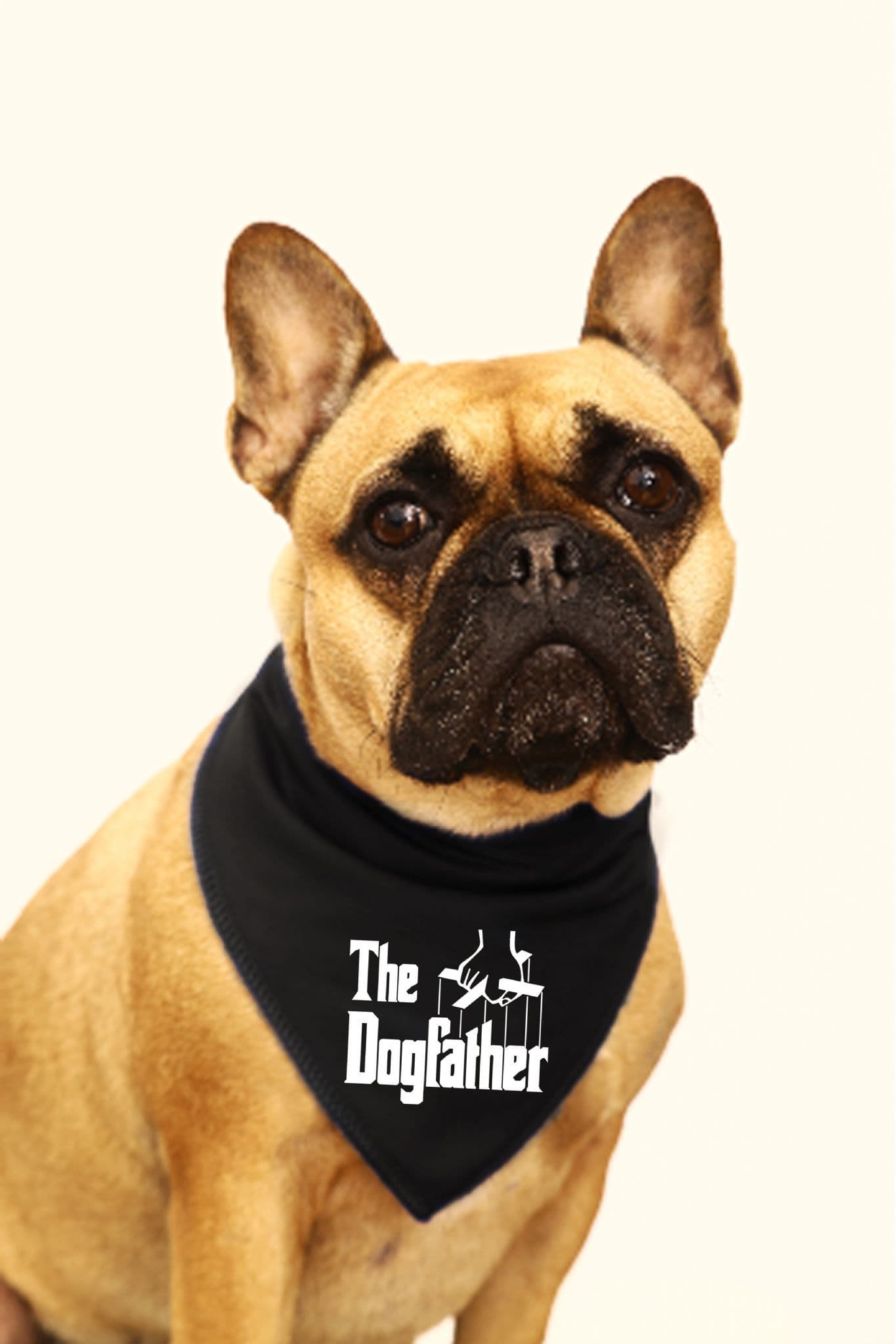 Dogfather Dog Bandana