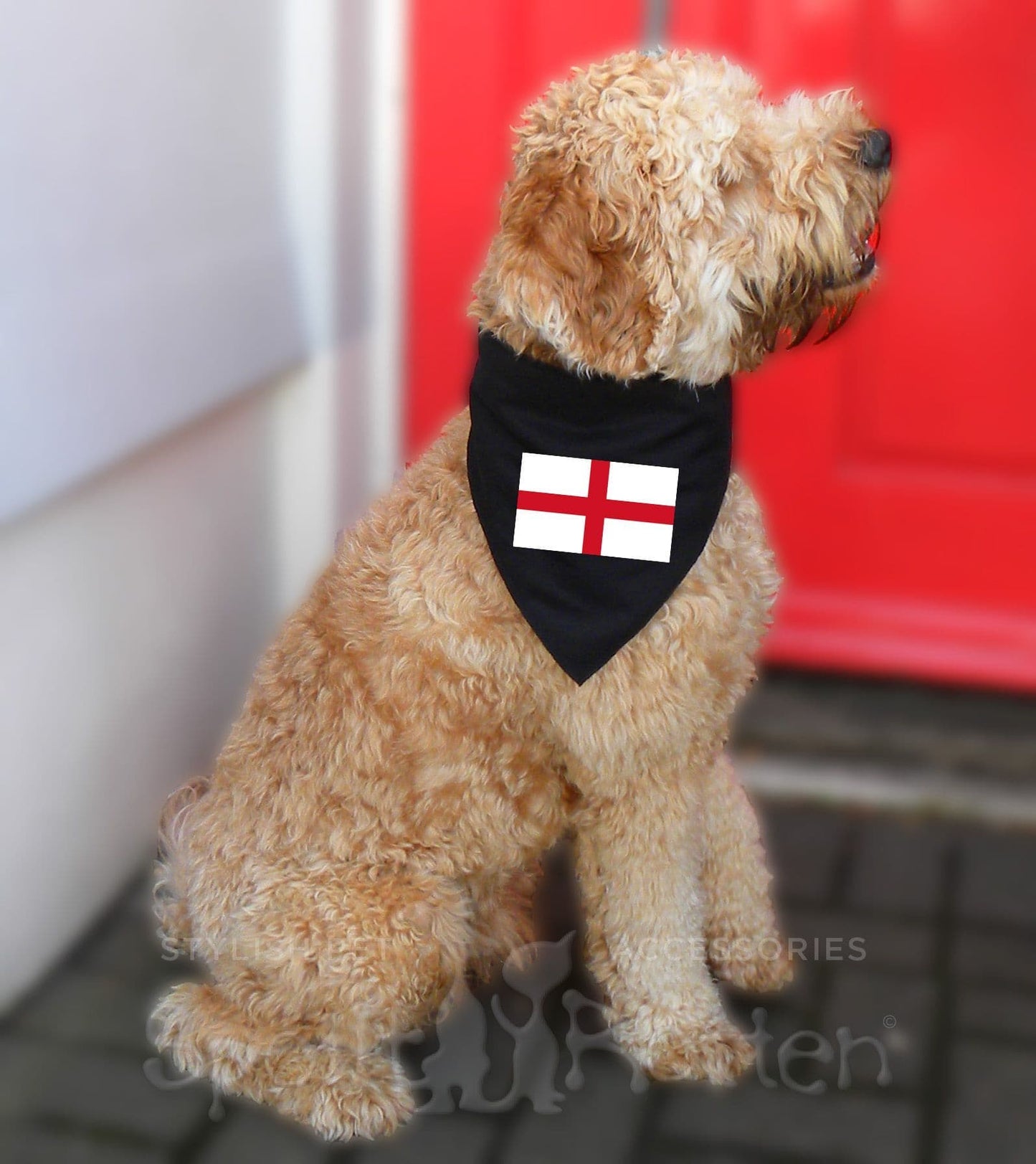 England Flag Dog Bandana
