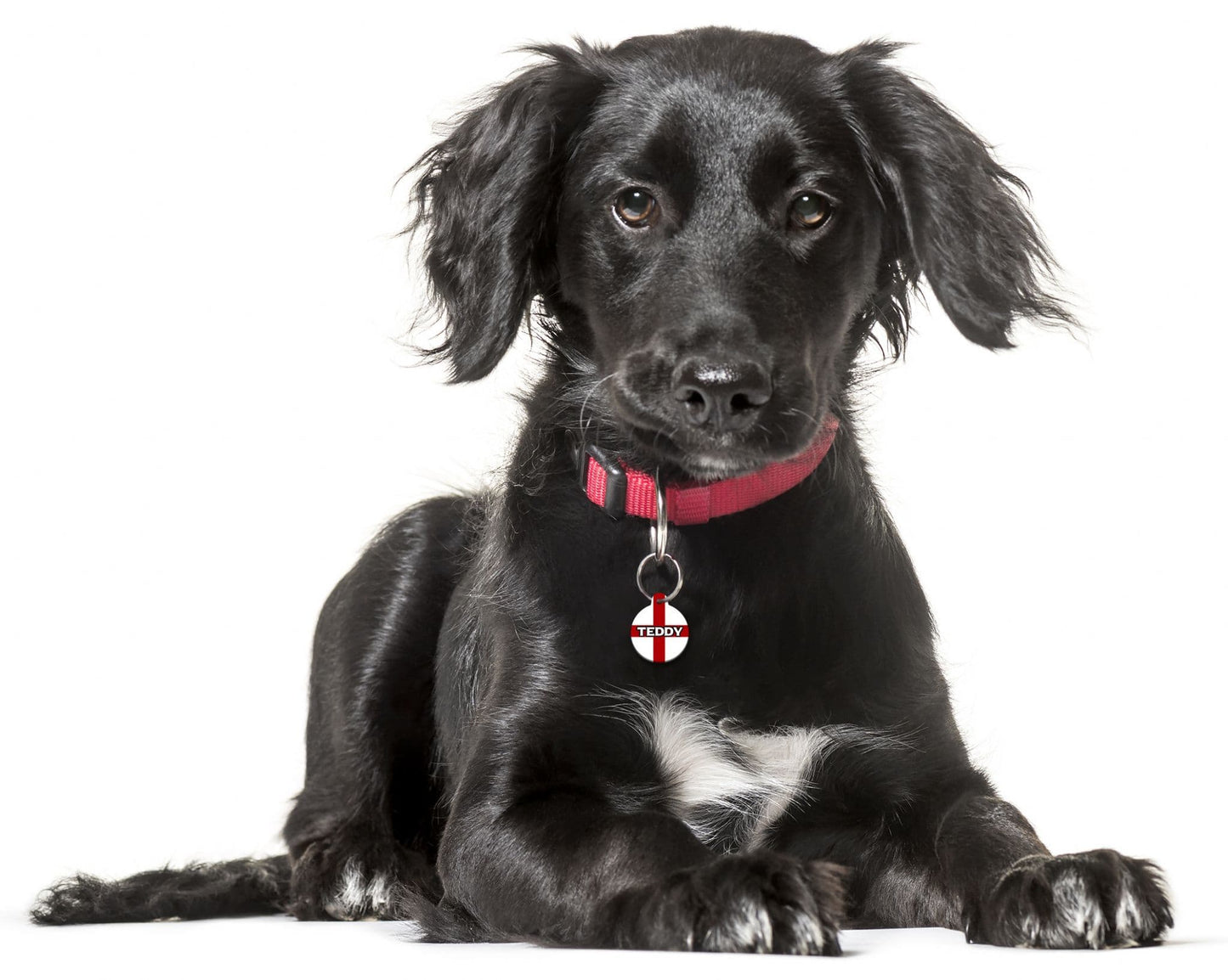 England St George - Pet (Dog & Cat) ID Tag