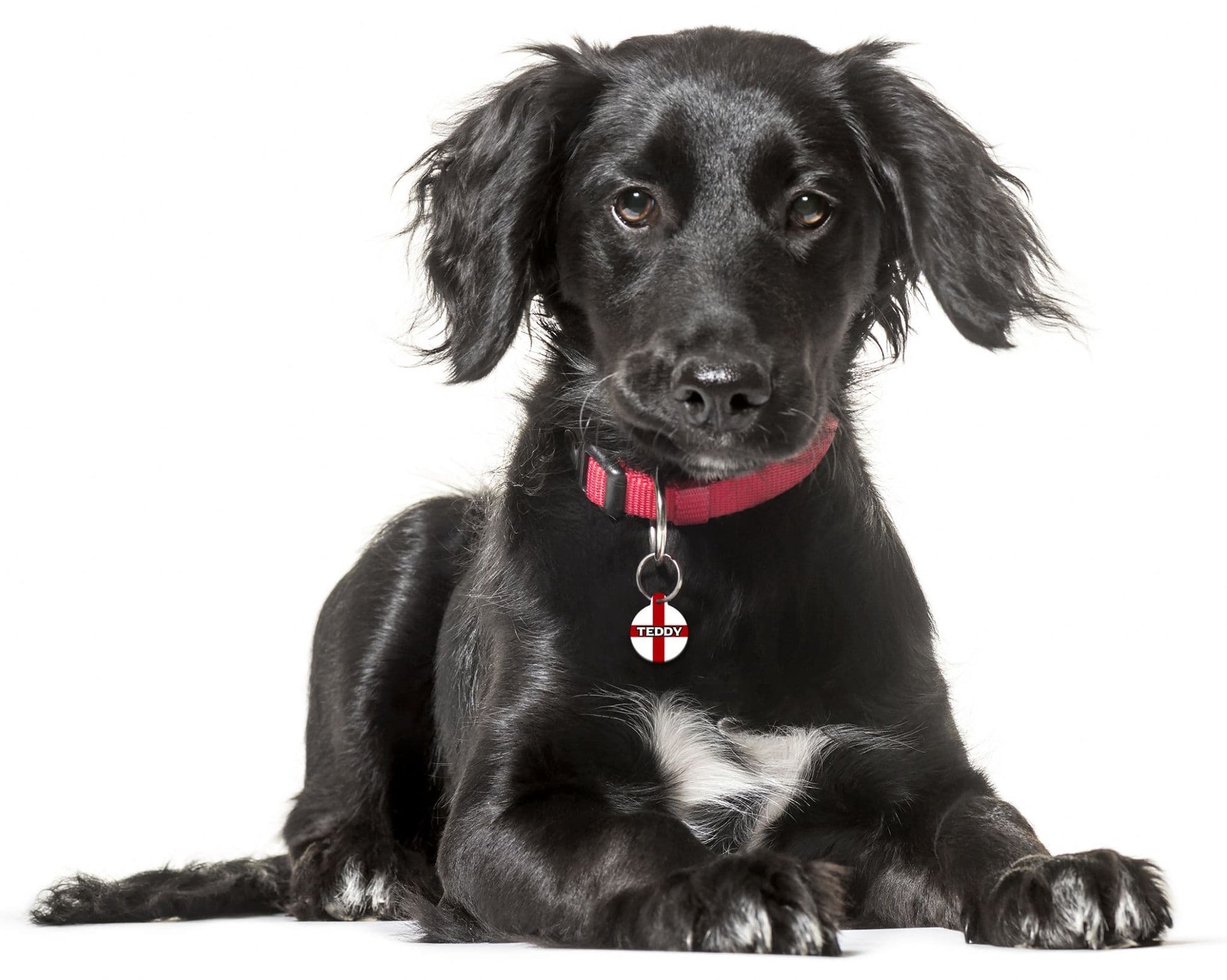 England St George - Pet (Dog & Cat) ID Tag