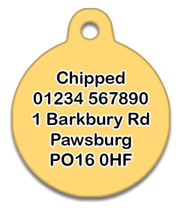 Food Before Dudes - Pet (Dog & Cat) ID Tag
