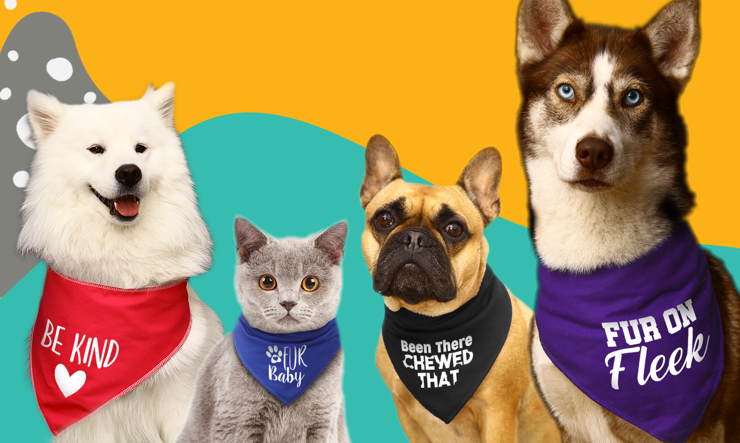 My Human Is My Valentine Dog Bandana