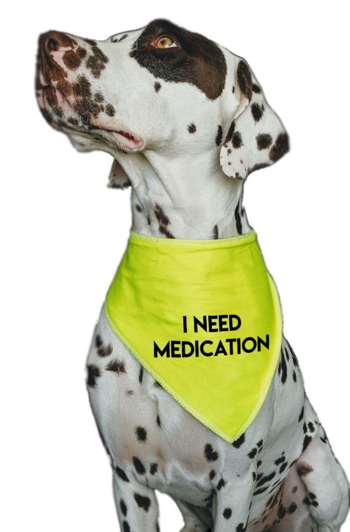 'I NEED MEDICATION' Alert Hi Viz Dog Bandana