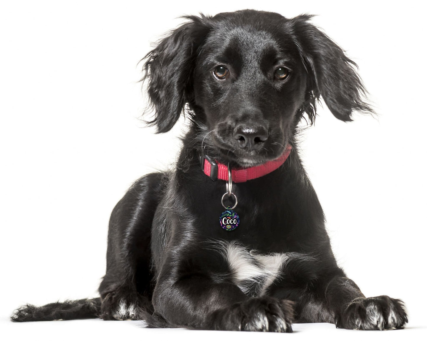 Navy Folksy Flowers - Pet (Dog & Cat) ID Tag