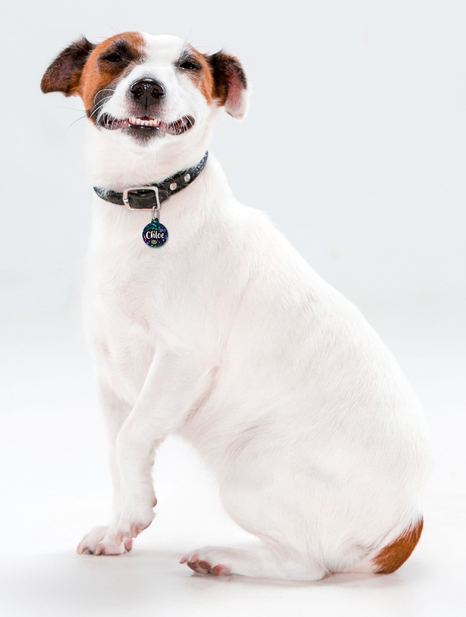 Navy Folksy Flowers - Pet (Dog & Cat) ID Tag