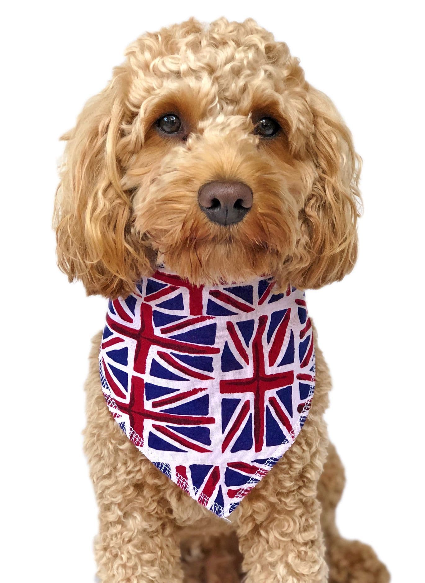 Personalised Union Flag Dog Bandana
