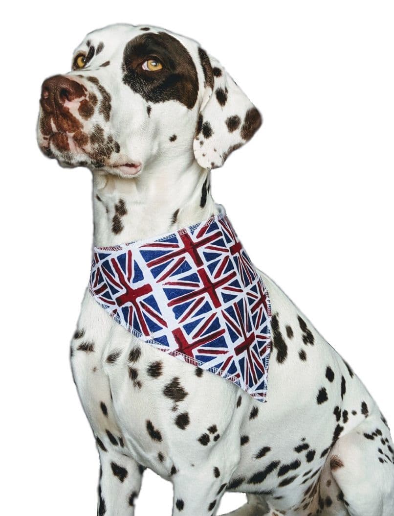 Personalised Union Flag Dog Bandana
