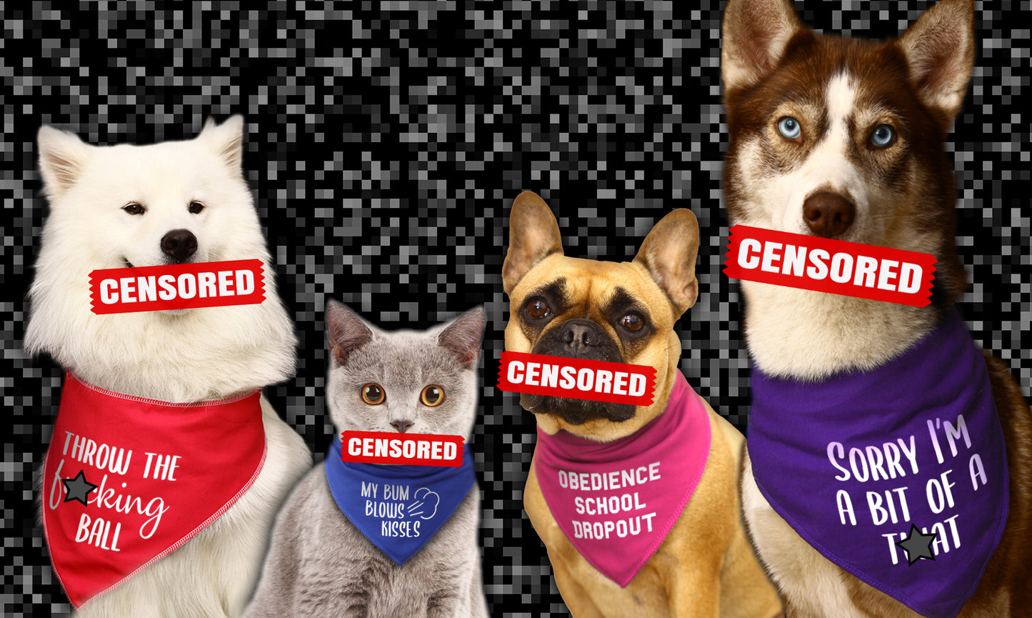 Even I Think Your A Cunt Dog Bandana
