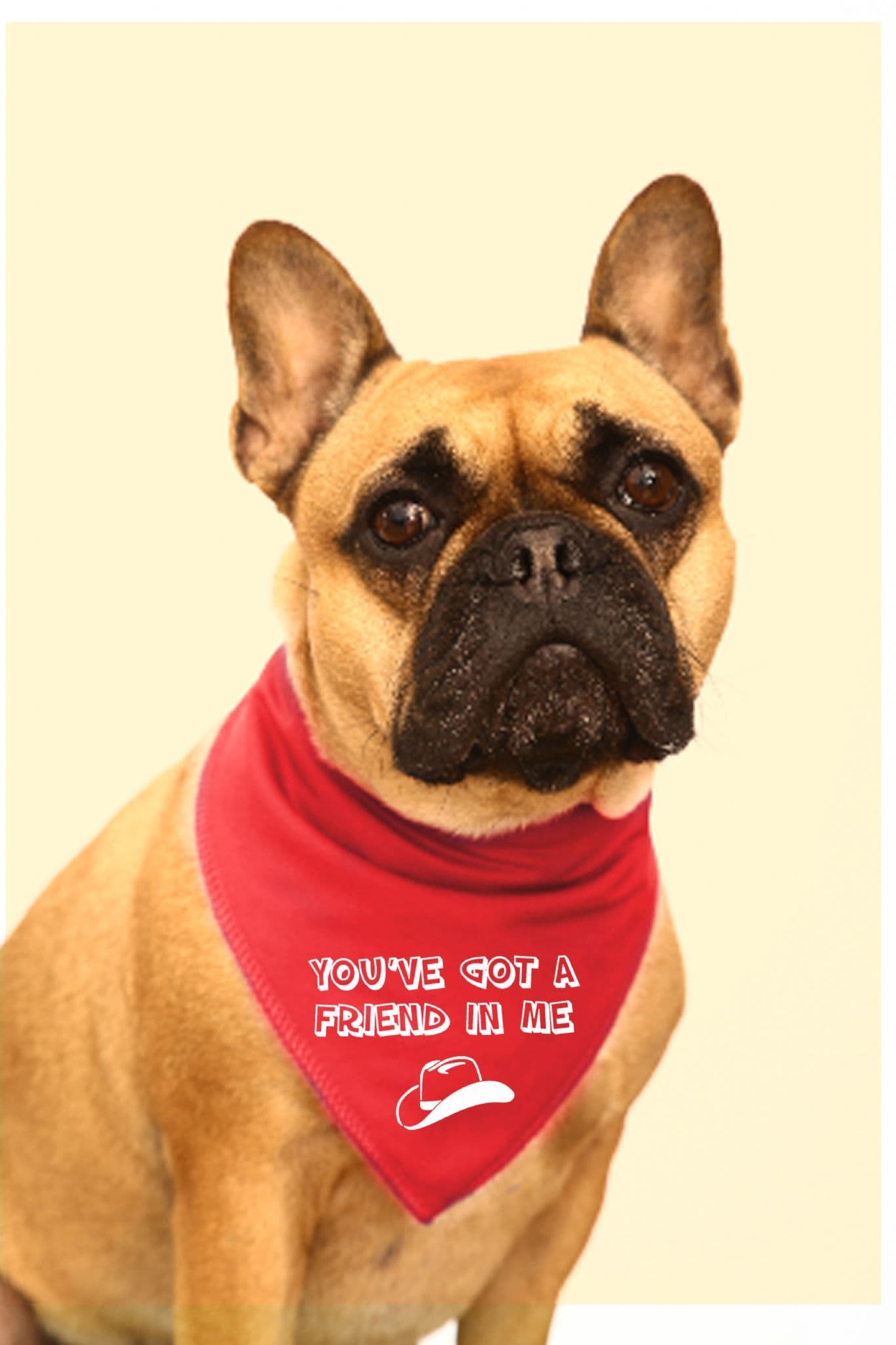Toy Story 'You've Got A Friend In Me' Toy Story Dog Bandana
