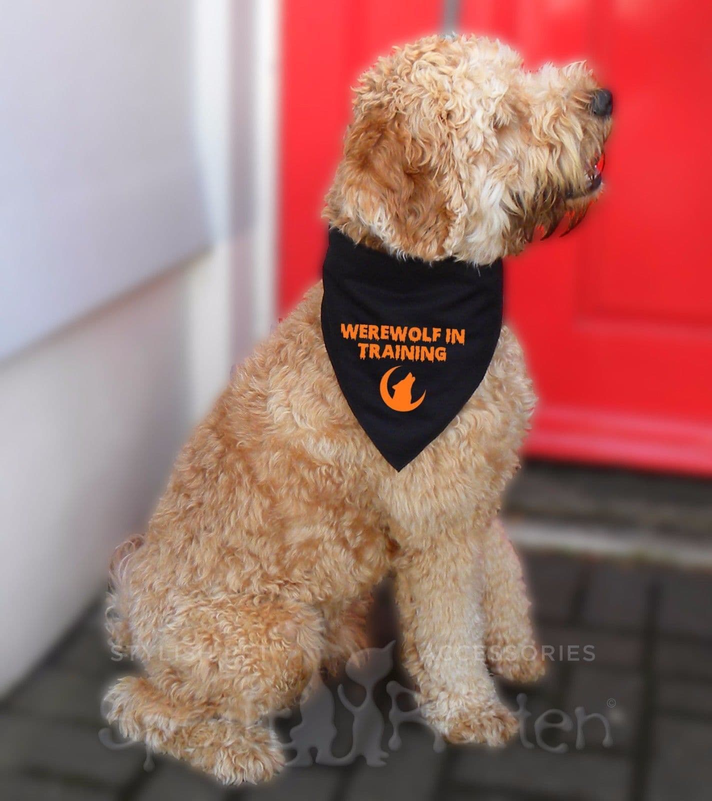 'Werewolf In Training' Dog Bandana