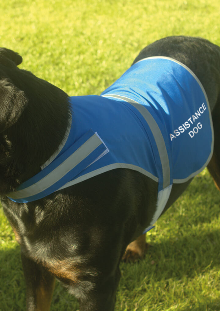 'Assistance Dog' High Visibility Lightweight Coat