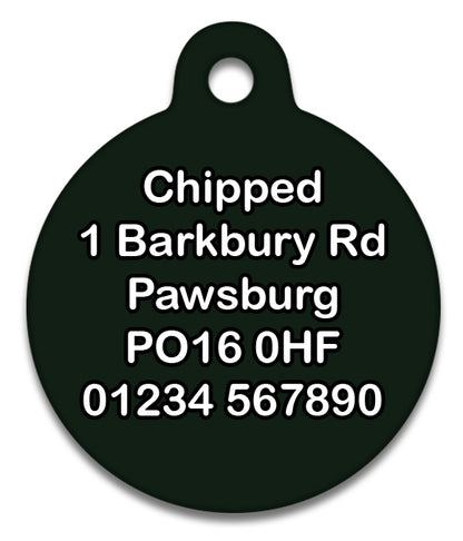 Wizard Spell Green Mist  Pet ID Tag