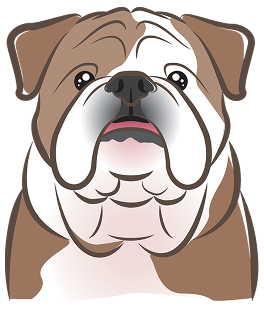 'All You Need is Love' Mug Custom Breed & Name