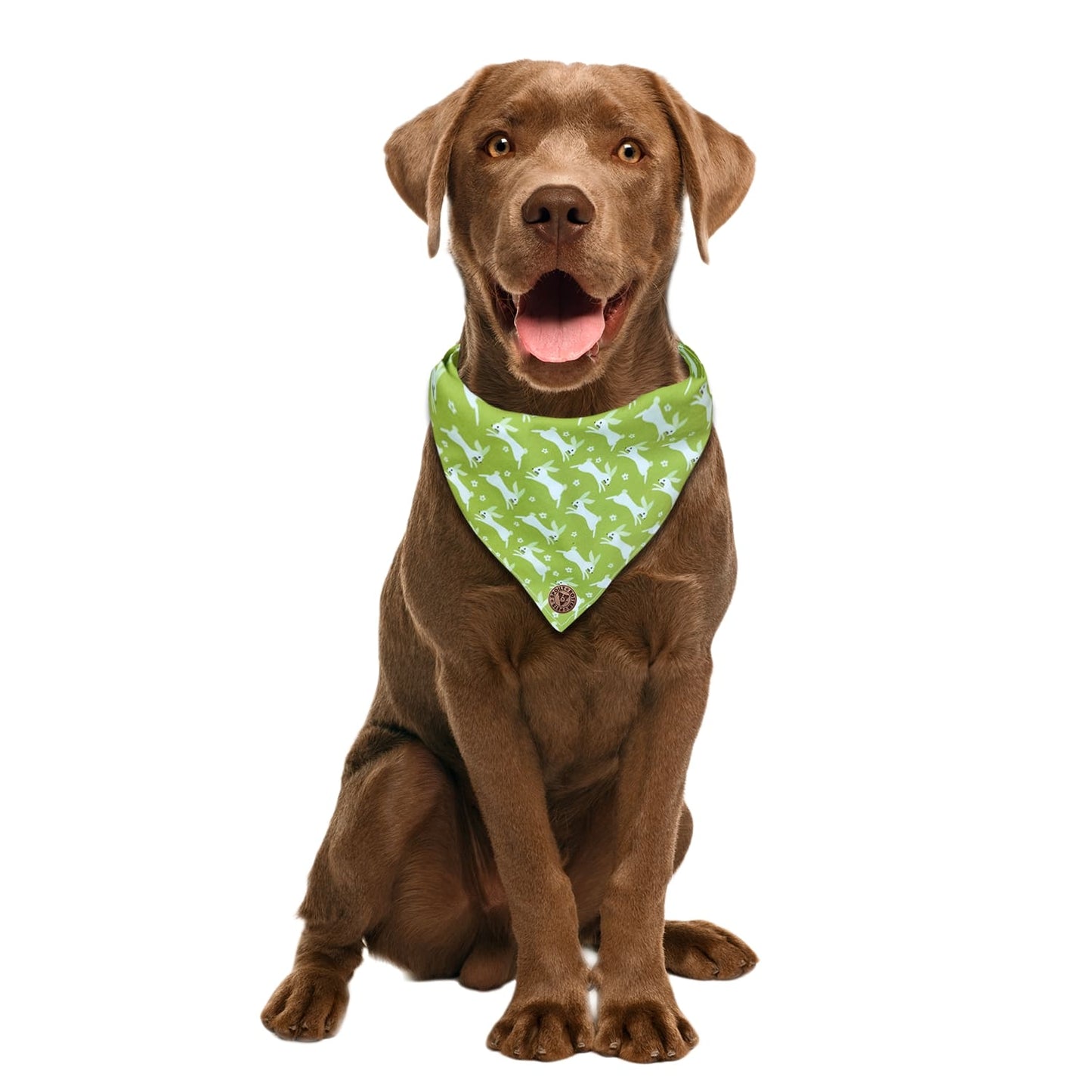 The Warrington - Green Bunnies Tied Dog Bandana