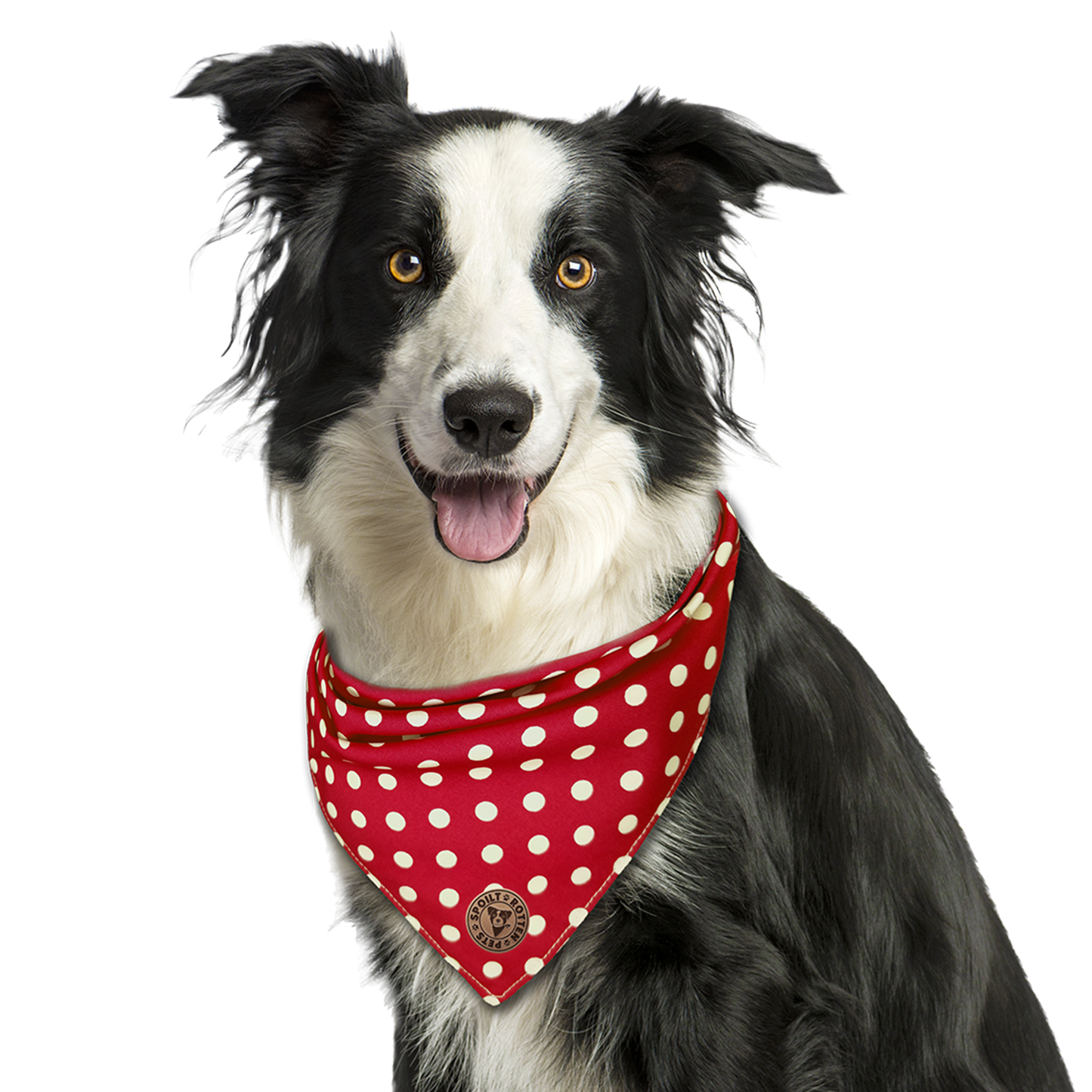 The Dover - Polka Dot Red Tied Dog Bandana