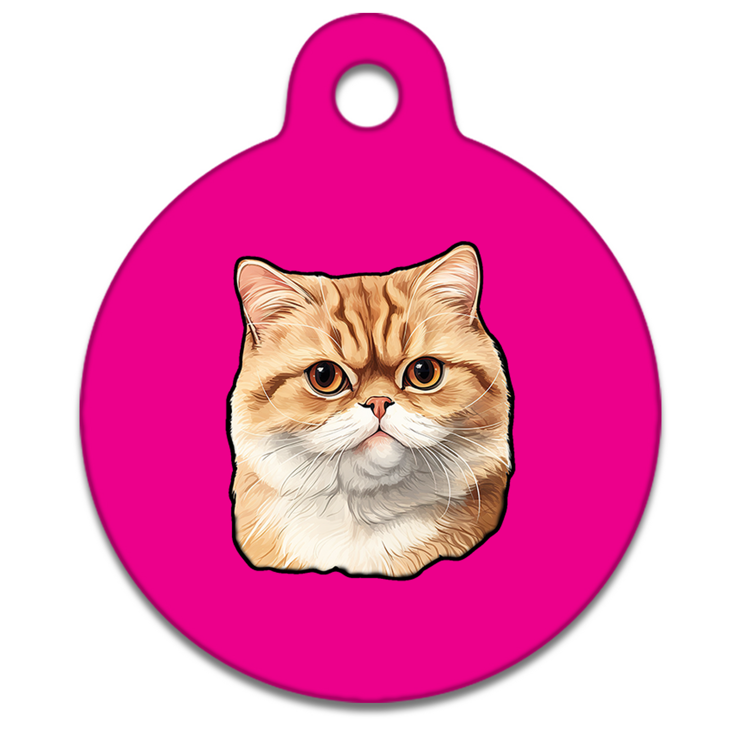 19mm Diameter Tiny Size - Exotic Shorthair