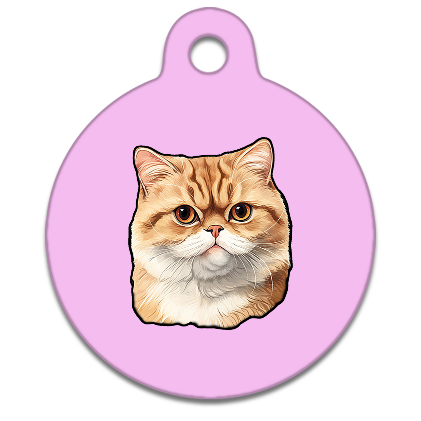 19mm Diameter Tiny Size - Exotic Shorthair