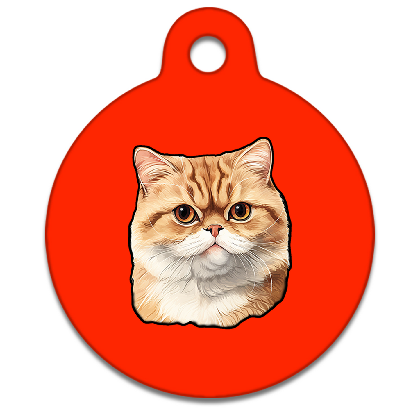 19mm Diameter Tiny Size - Exotic Shorthair
