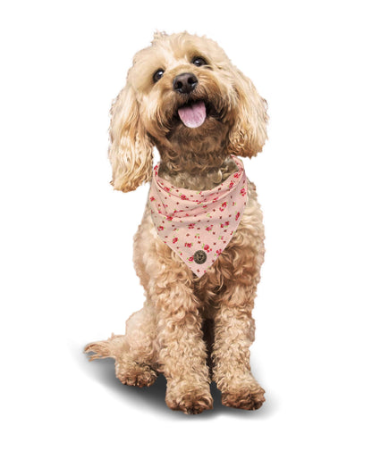 The Chelsea - Pink Vintage Rose Dog Bandana