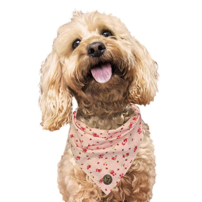 The Chelsea - Pink Vintage Rose Dog Bandana