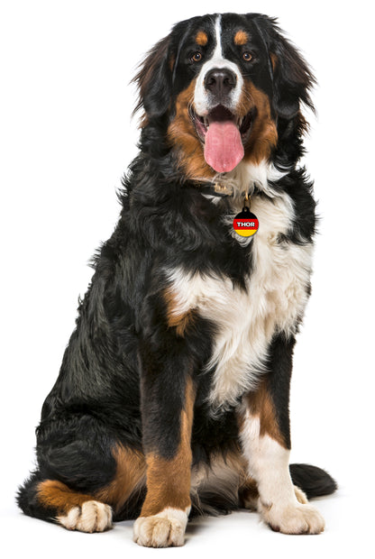 Germany - Pet ID Tag