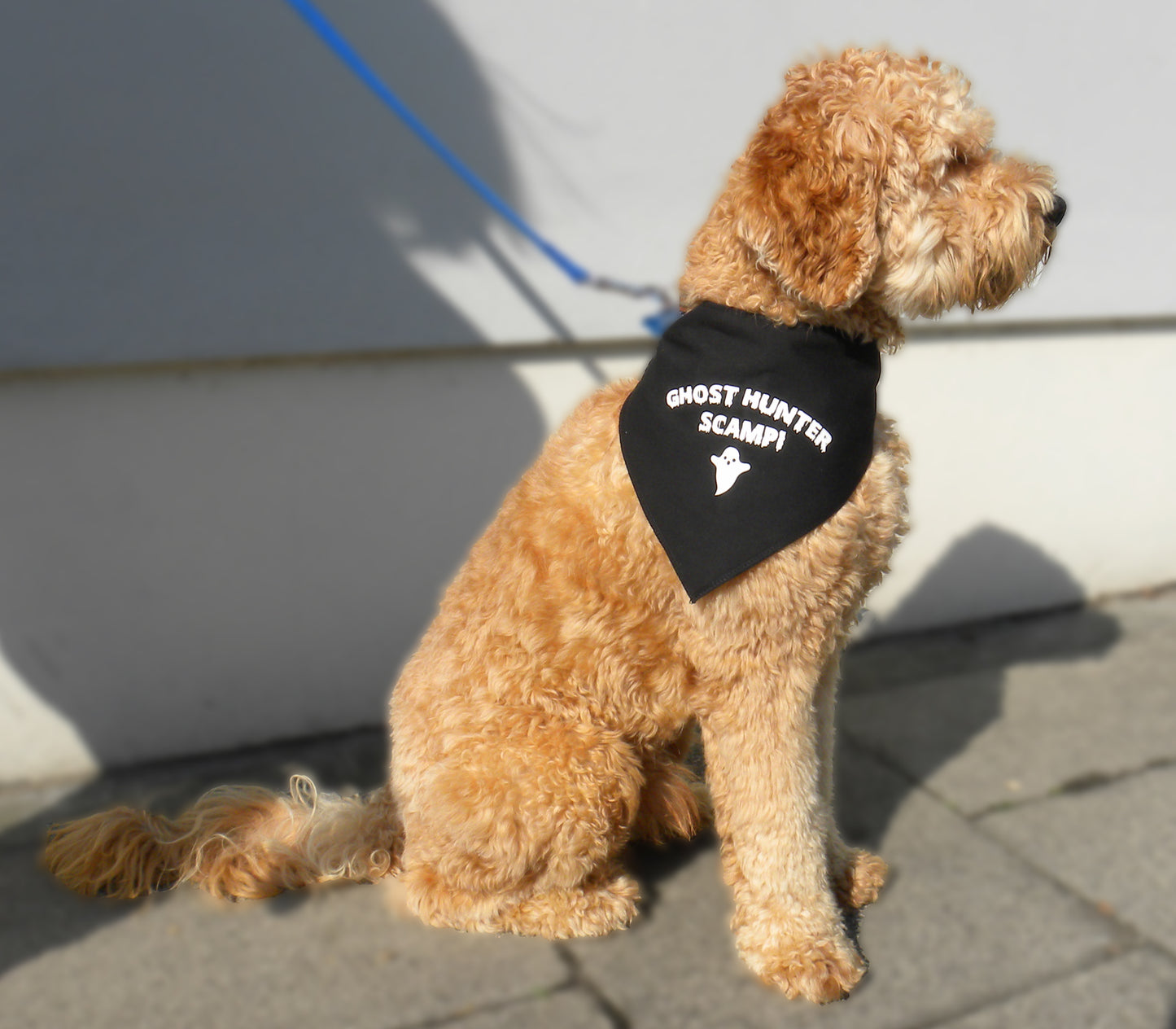 Ghost Hunter Any Name Dog Bandana