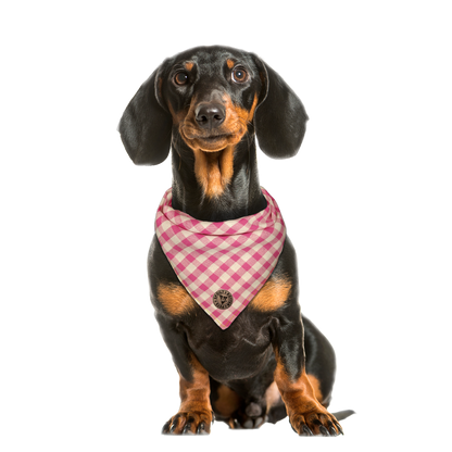 The Norfolk - Gingham Pink Tied Dog Bandana