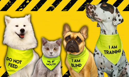 I'M A RESCUE Hi-Vis Dog Bandana