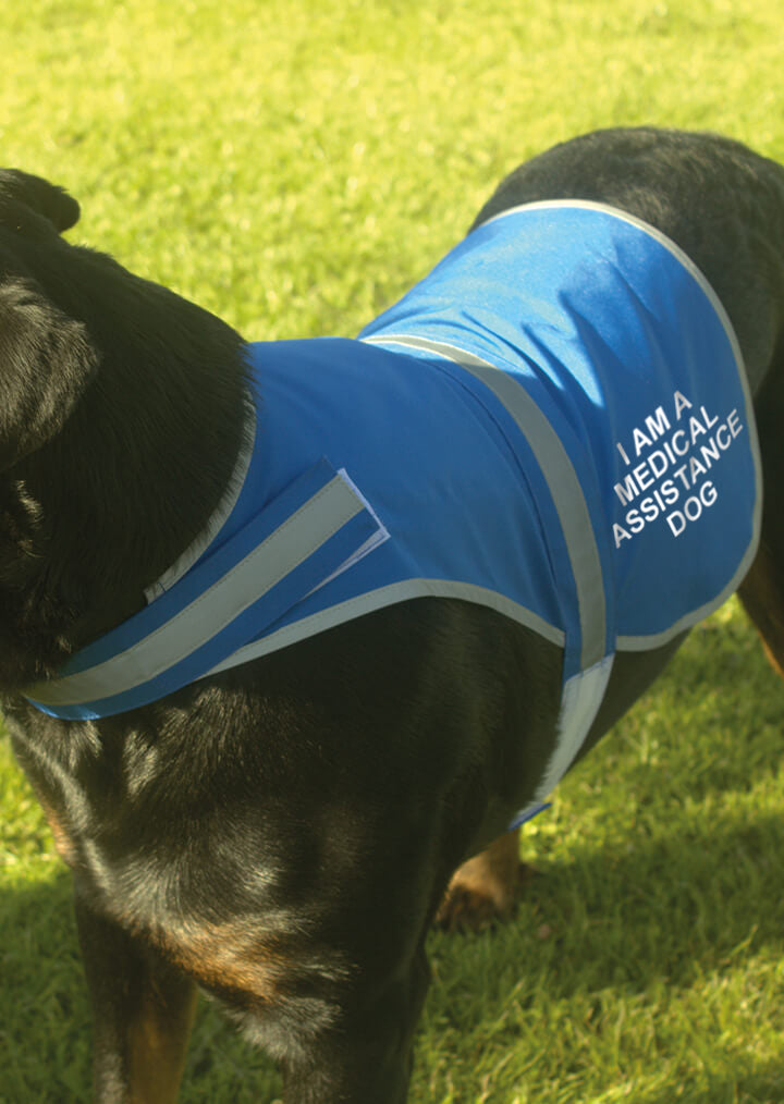 'I Am A Medical Assistance Dog' High Visibility Lightweight Coat